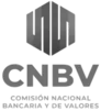 Logo CNBV